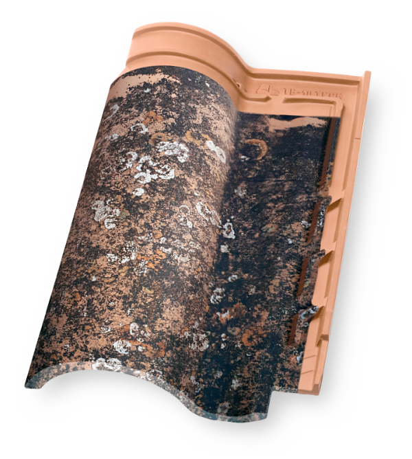 Керамическая черепица Borja TECH TB 10, Enterpins, Tejas Borja