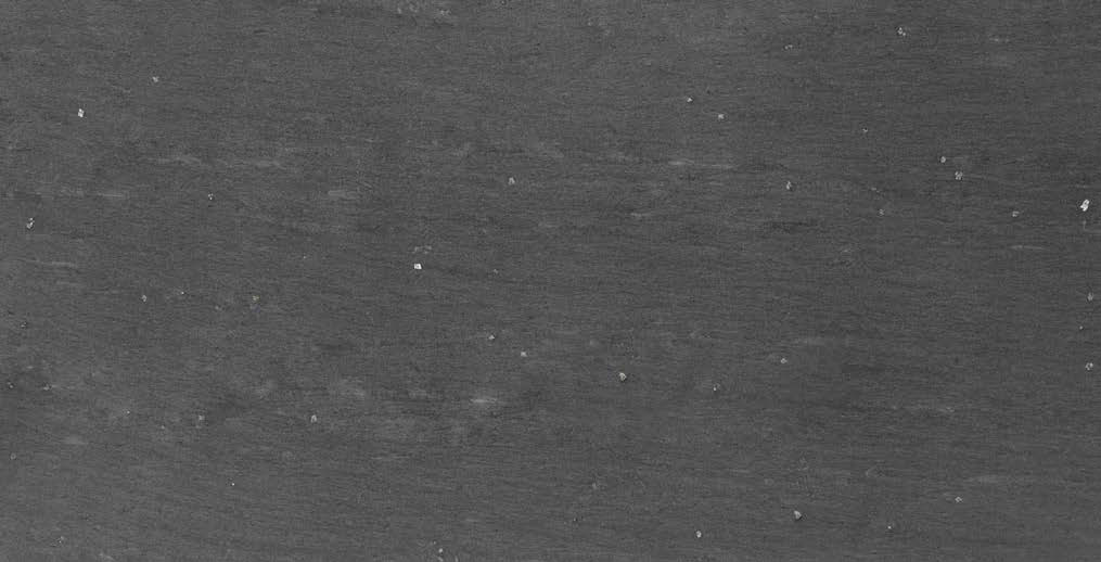 Cланцевая плитка Cupa 3