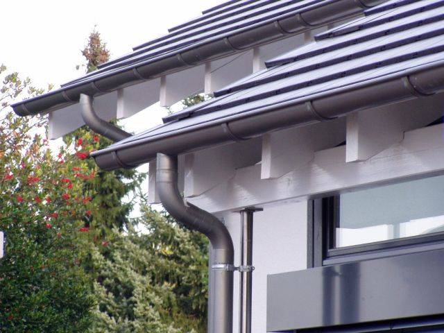ZM SILESIA SA SYSTEM NATURAL