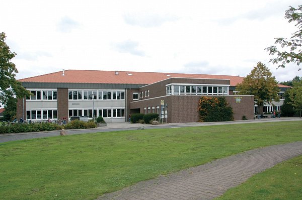 Керамическая черепица Braas Рубин 9V, Натуральный красный