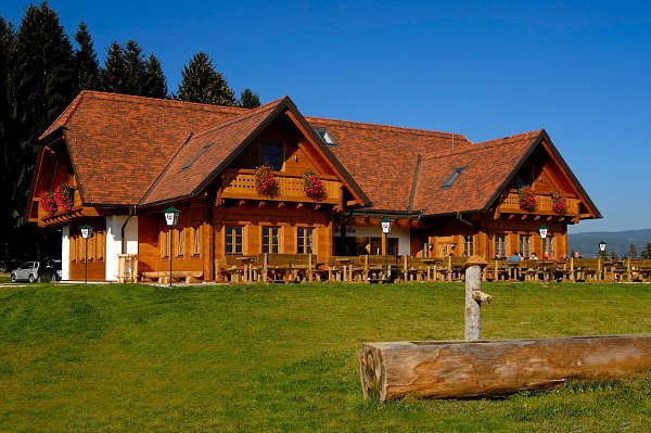 Керамическая черепица Tondach Altstadtpaket Tasche, Натуральный красный