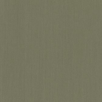 Лента NedZink NUANCE Green