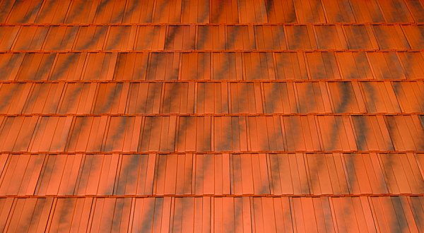 Керамическая черепица Tondach Steinbruck, Рустикальный