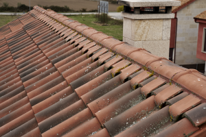 Керамическая черепица Borja TECH TB 10, Moss red, Tejas Borja