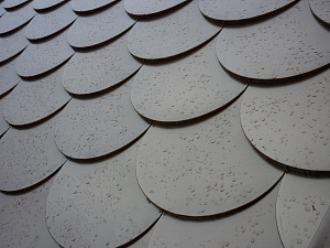 ЧЕРЕПИЦА РЫБЬЯ ЧЕШУЯ СЕРАЯ