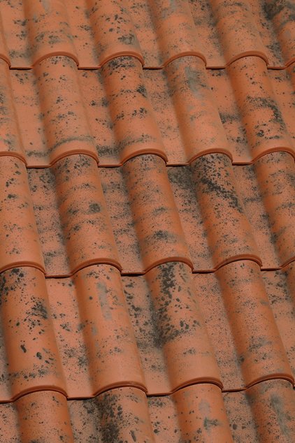 Керамическая черепица Margon Roman Plus-Ultra, Aged Natural Red