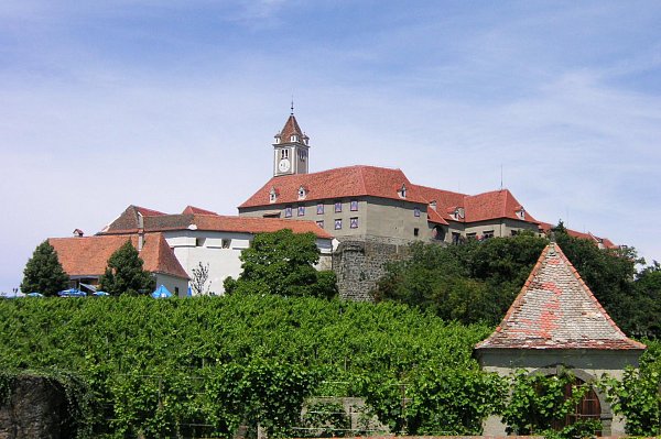 Керамическая черепица Tondach Altstadtpaket Tasche, Натуральный красный