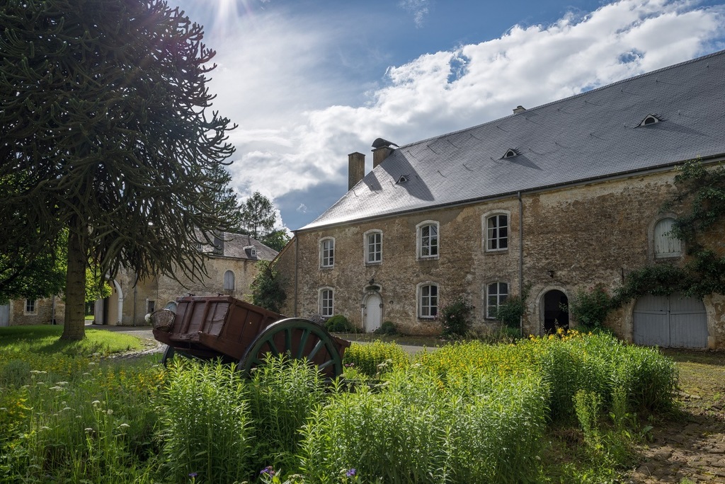 Cланцевая плитка Cupa 10