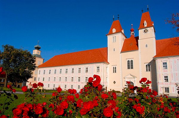 Керамическая черепица Tondach Tasche eckig, Натуральный красный