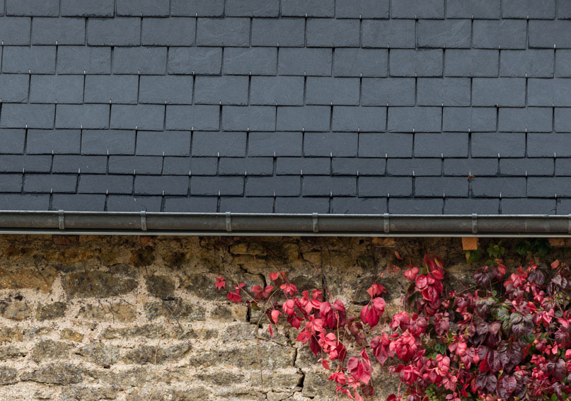 Cланцевая плитка Cupa 5