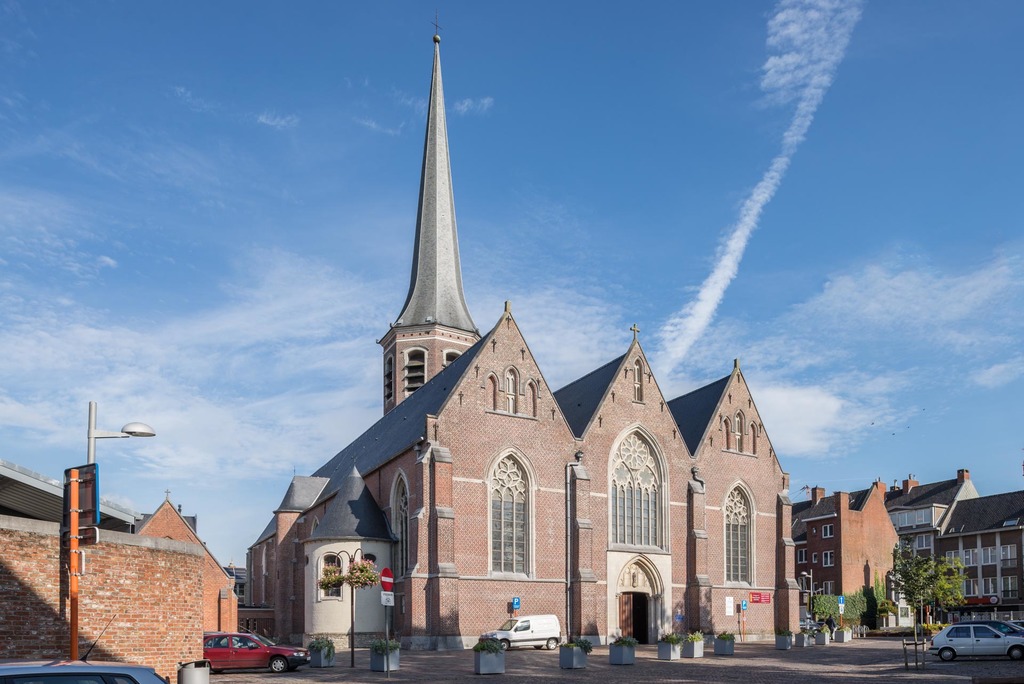 Cланцевая плитка Cupa 5