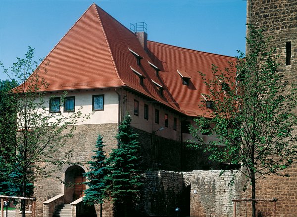 Керамическая черепица Creaton Biber Ambiente Geradschnitt, Натуральный красный