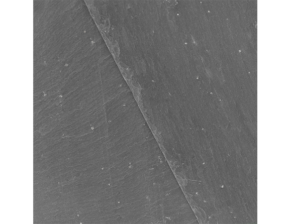 Cланцевая плитка Cupa 3