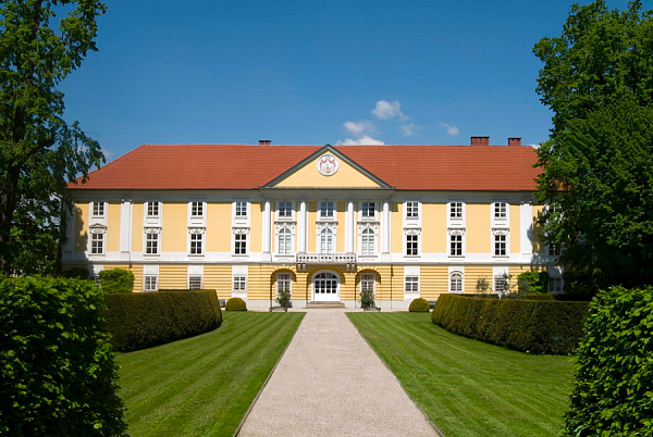 Керамическая черепица Tondach Fidelio, Медно-коричневый