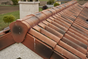 Керамическая черепица Borja TECH TB 10, Moss red, Tejas Borja