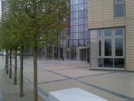 Welsh Slate