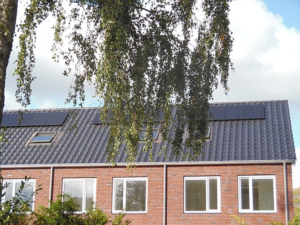 Керамическая черепица Nelskamp F 8,5, Антрацит