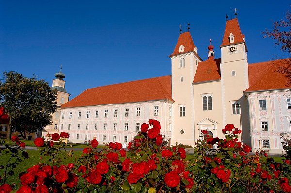 Керамическая черепица Tondach Altstadtpaket Tasche, Натуральный красный