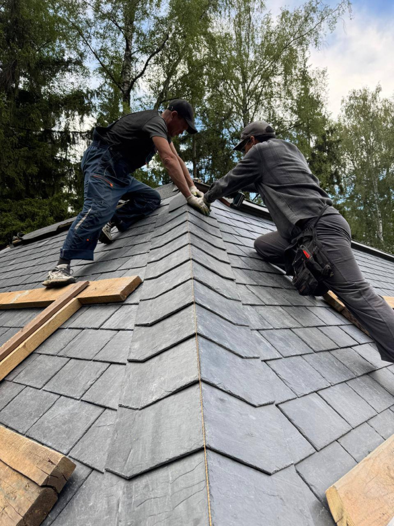 photo_2025-09-01_15-55-41.jpg photo_2025-09-01_15-55-41.jpg